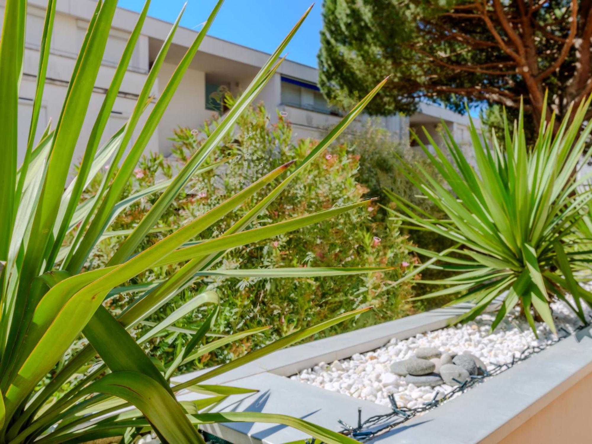 Apartment Antinea-4 By Interhome La Grande Motte Bagian luar foto